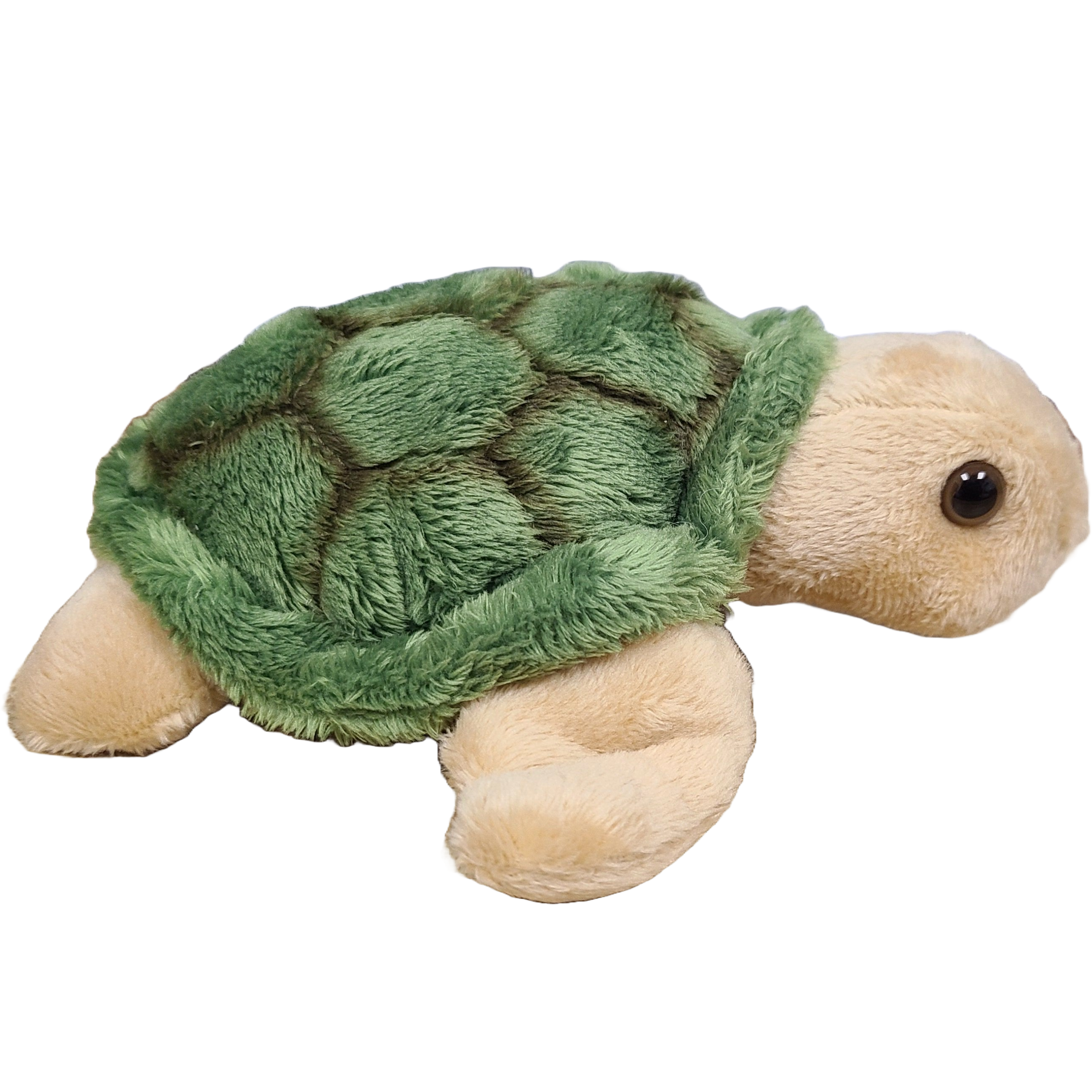 Canned Sea Turtle Plush