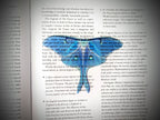 Clear Bookmark - Blue Luna Moth Butterfly Insect Gothic