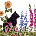 Single Flour Sack Towels U34-14 New Cat