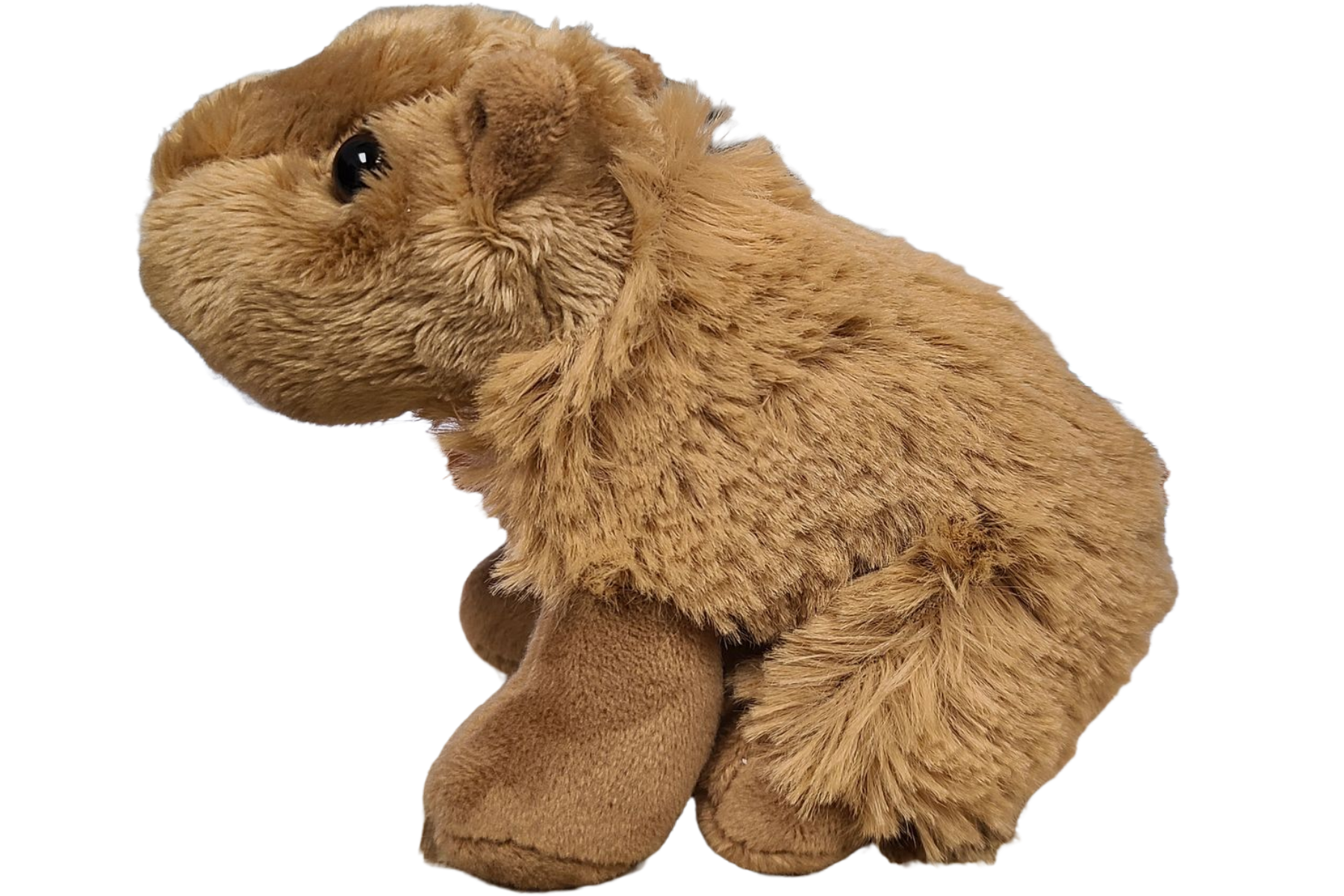 Steve the Canned Capybara Plush