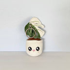 Monstera Deliciosa Albo Variegata Plush Keychain