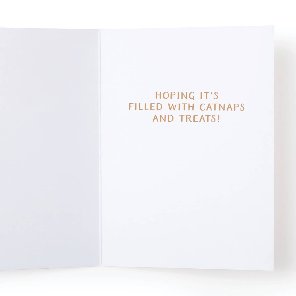 Happy Purrthday Cat Greeting Card