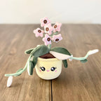 Hoya Carnosa Krimson Queen Plushie