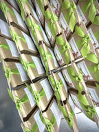 Scatter Garden | Hummingbird | Best Seller | Bird lovers