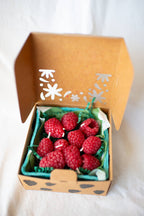 Raspberry Birthday Candles