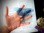 Clear Bookmark - Blue Luna Moth Butterfly Insect Gothic