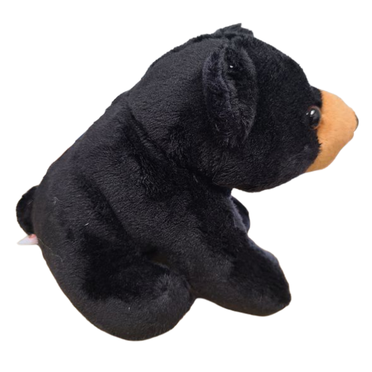 Russ the Canned Black Bear Plush