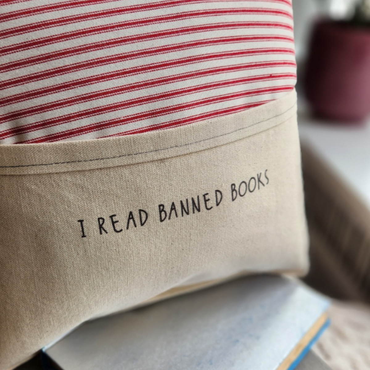 Reading Pillow- I Read Banned Books, Red Ticking Stripe