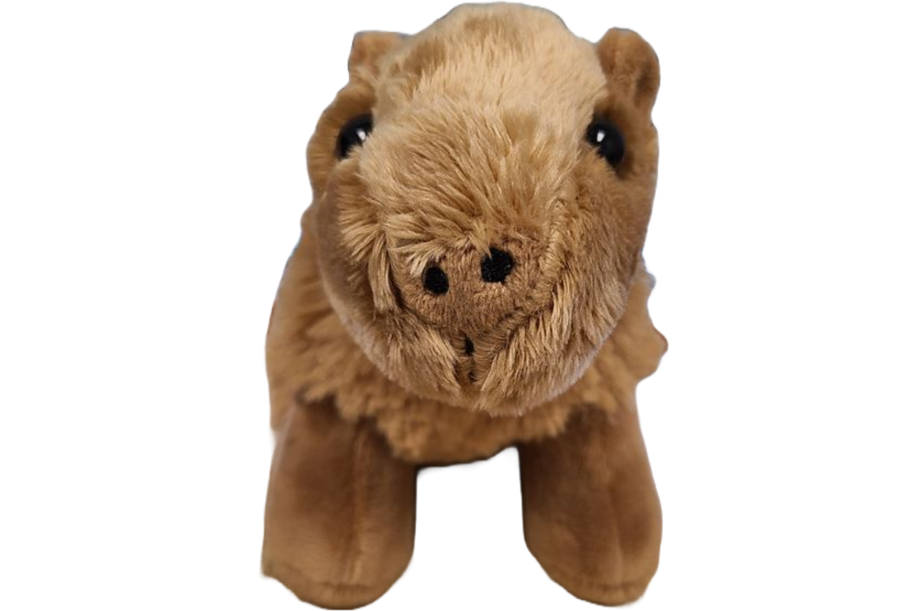 Steve the Canned Capybara Plush