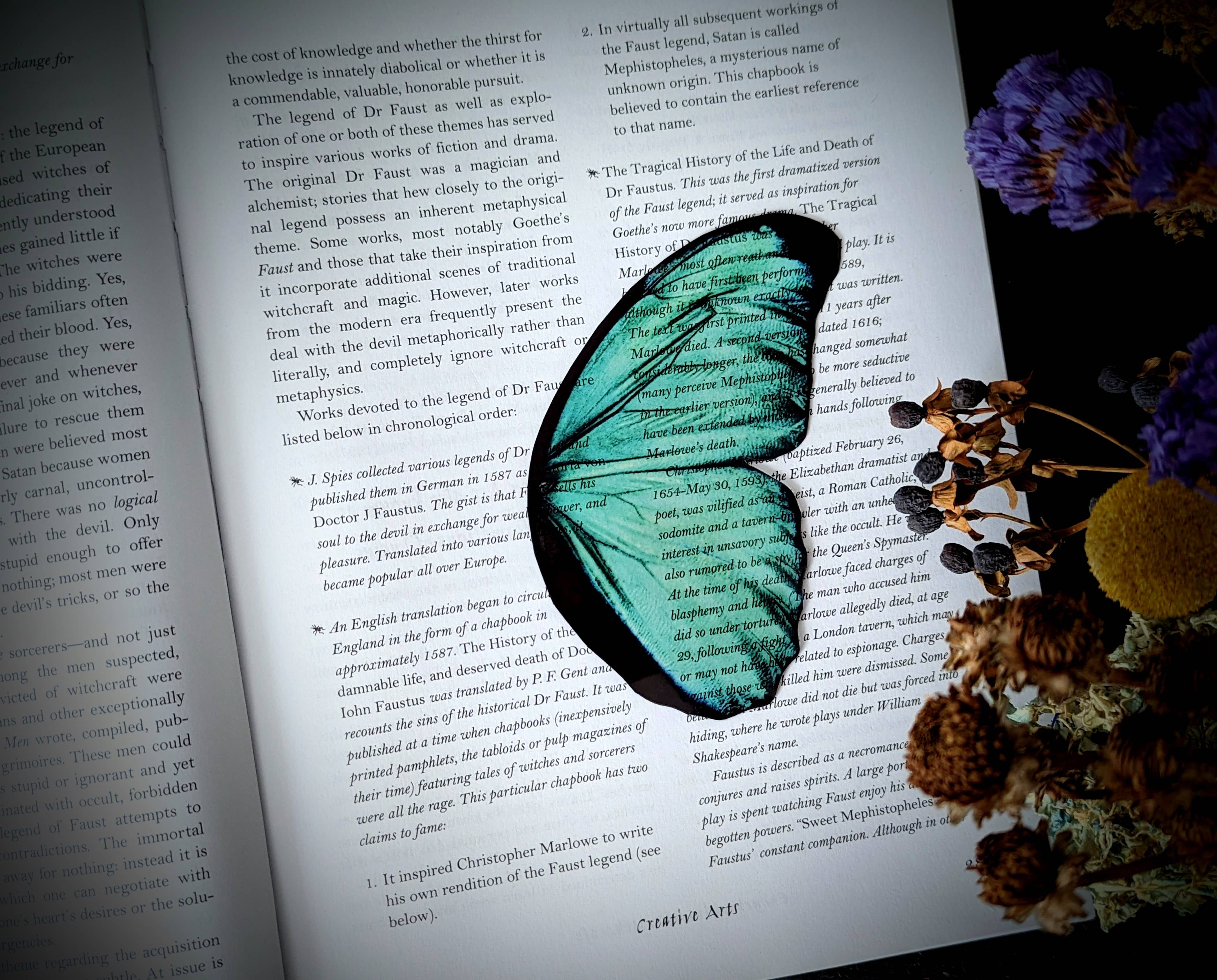 Clear Bookmark - Mint Moth Wing Cottagecore Dark Academia