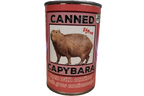 Steve the Canned Capybara Plush